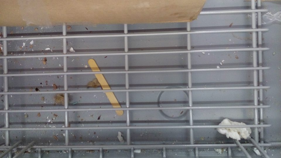 Na predajnej ploche znečistené dno mraziaceho zariadenia.