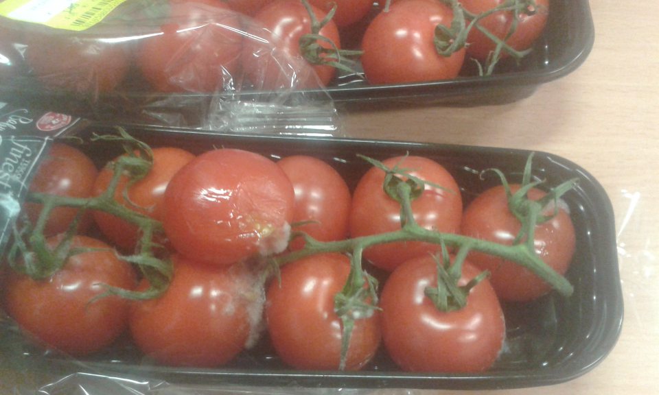 Predaj paradajok s výskytom plesne