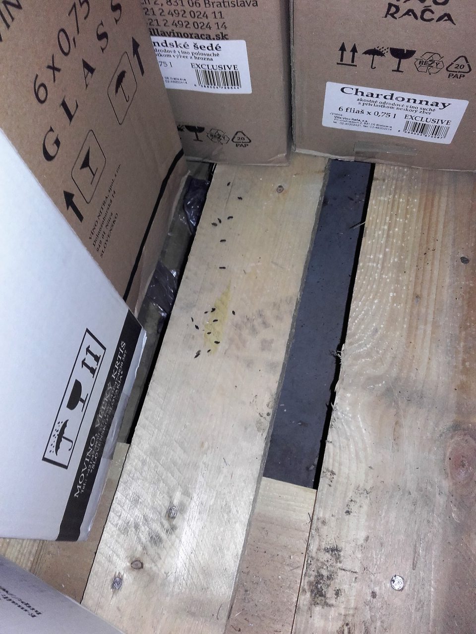 V skladovacom priestore prevádzky výskyt exkrementov hlodavcov na paletách.