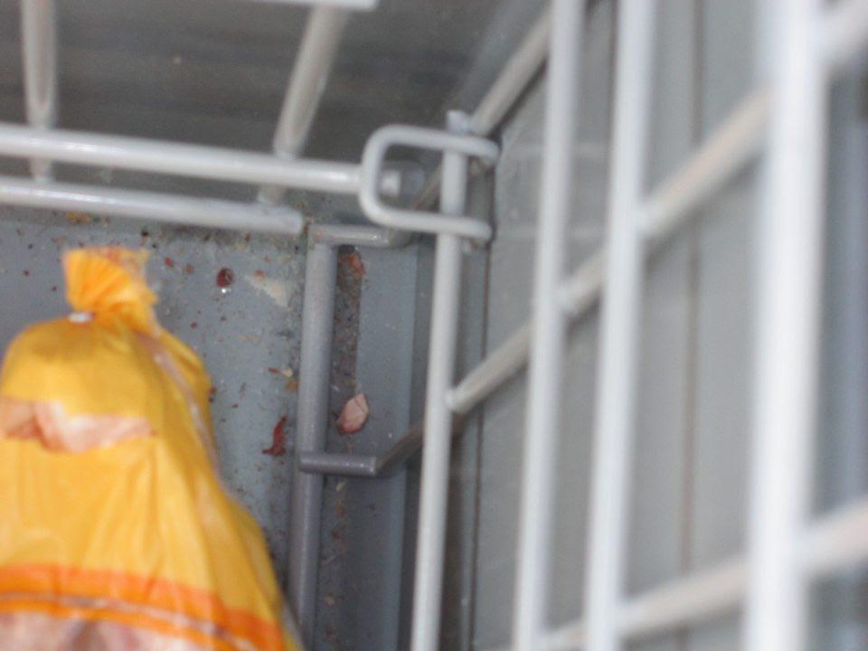 V prevádzke znečistené mraziace zariadenie s uchovánanými hlbokozmrazenými potravinami.