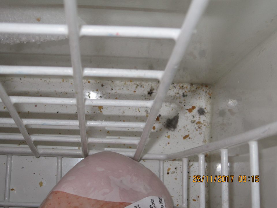 Znečistené dno mraziaceho boxu napadanými nečistotami.