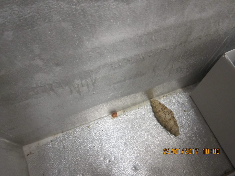 Dno mraziaceho zariadenia znečistené drobnými úlomkami mrazených pekárskych polotovarov.