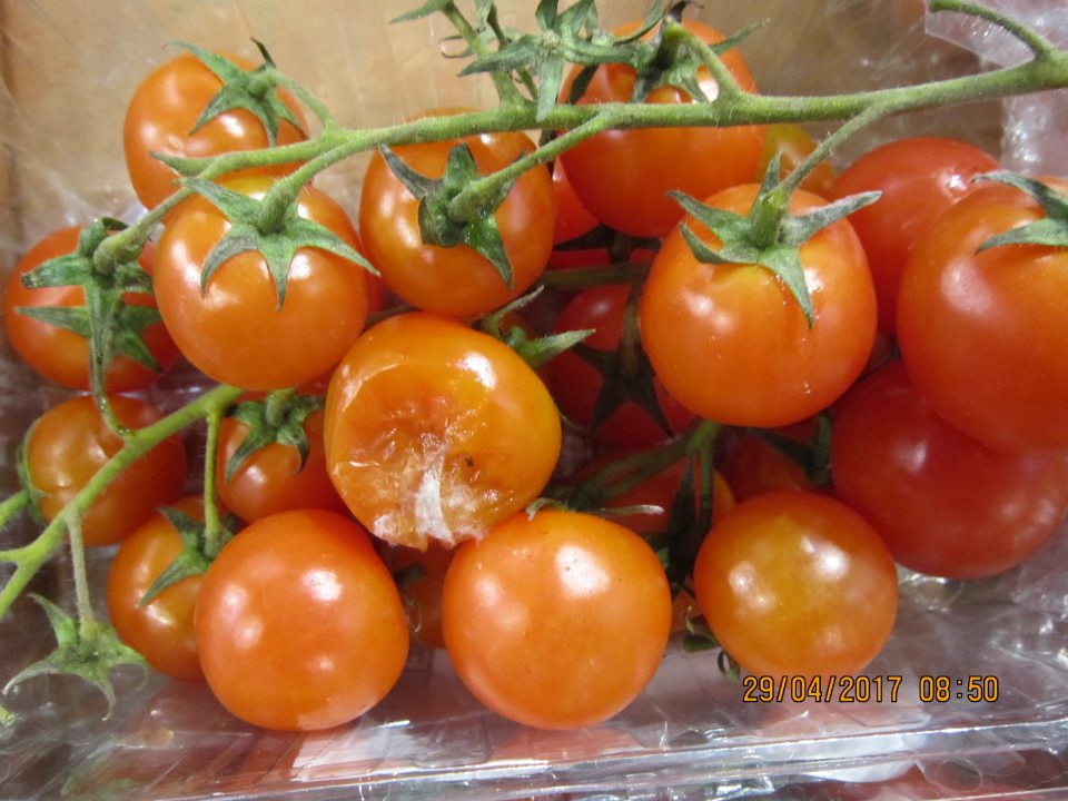 Predaj zeleniny nevhodnej na ľudskú spotrebu.