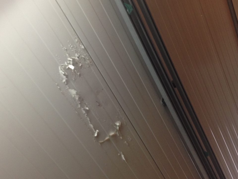 V prevádzke  olupujúci na náter stropu mraziaceho boxu .