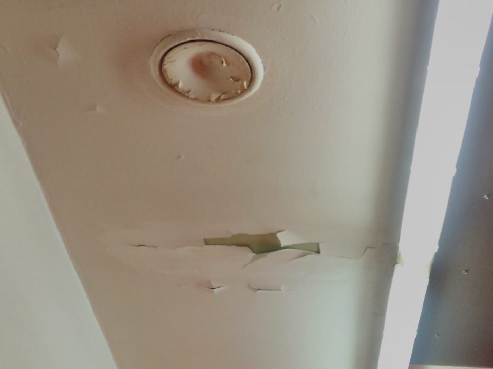 V oddelení lahôdok prevádzky poškodený a olupujúci sa náter stropu.