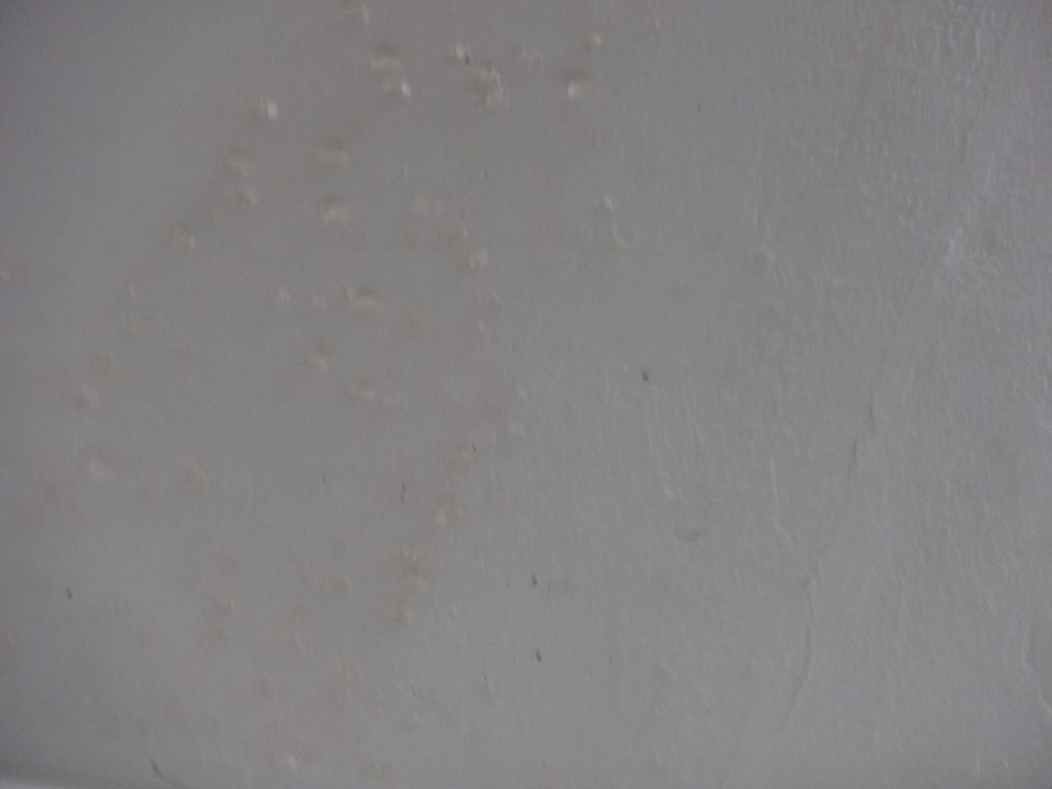 Olupujúci sa náter stropu v sklade potravín.