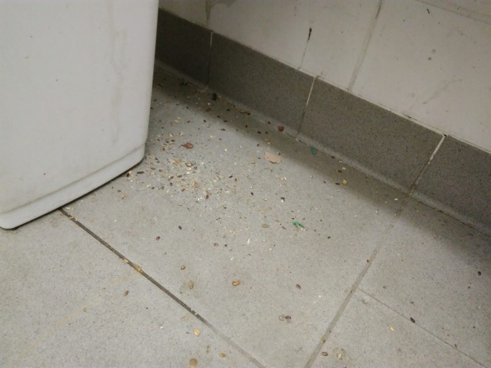 Znečistená podlaha v miestnosti upratovačky.