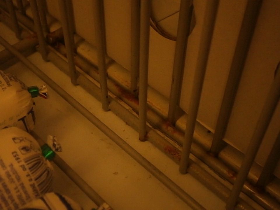 V predajni korózia košov vitríny s tavenými syrmi a maslom.