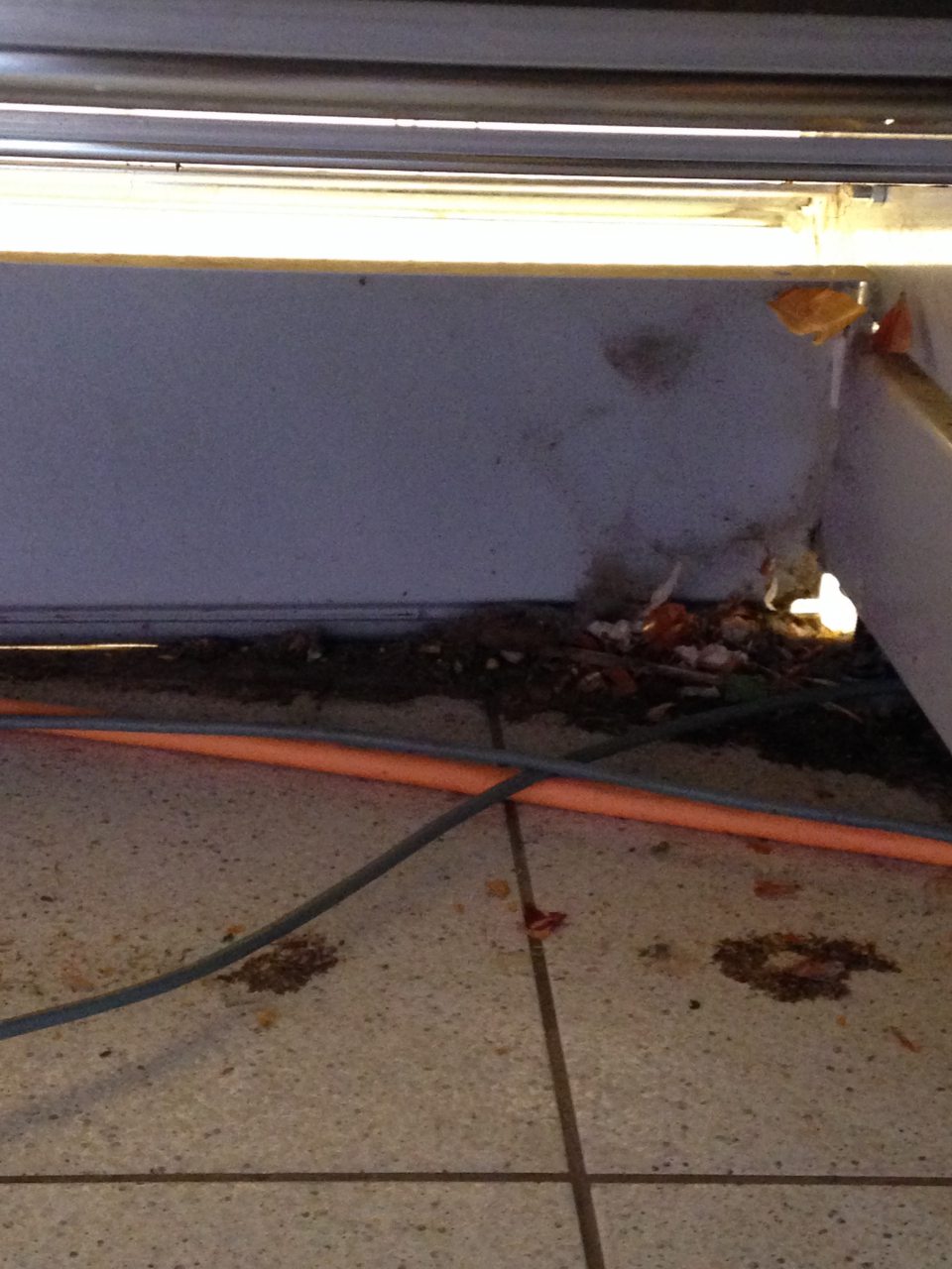 Znečistená podlaha pod regálmi so zeleninou na predajnej ploche.