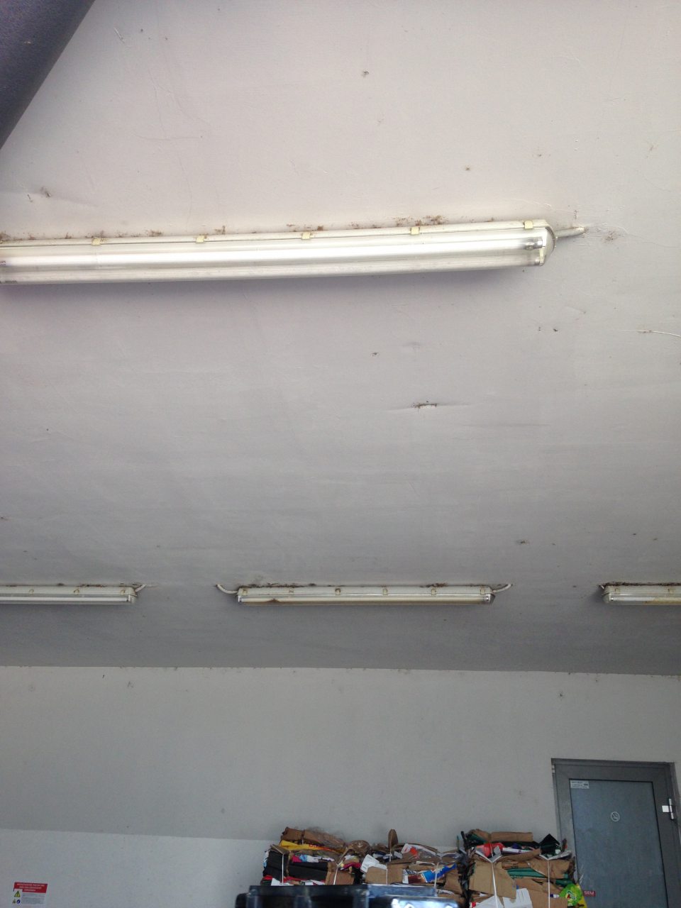 Znečistené steny, strop, kryty svietidiel na príjme potravín.