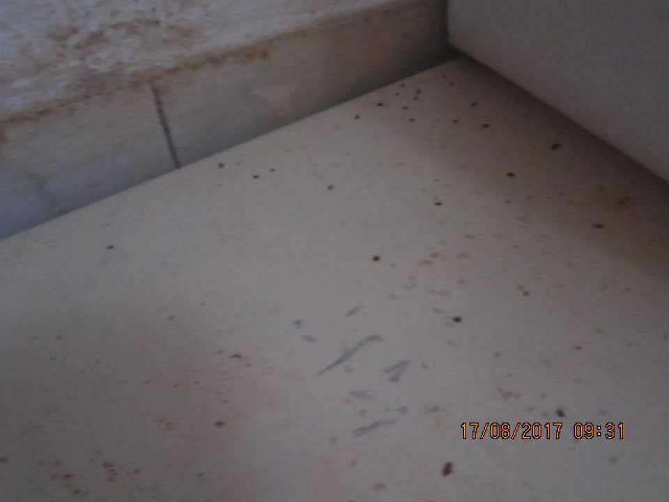 V prevádzke na regáli s uloženými surovinami výskyt trusu hlodavcov.