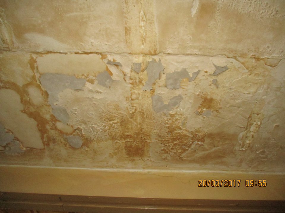 Vo výrobných priestoroch prevádzky olupujúci sa hygienický náter na strope.