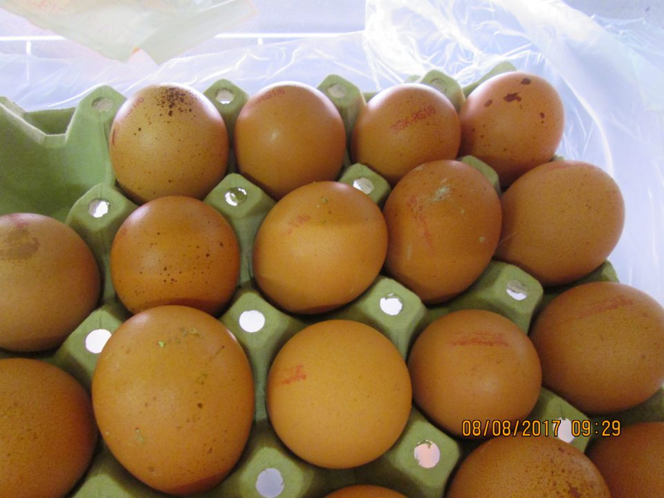 Predaj vajec neoznačených kódom výrobcu, alebo kód výrobcu je nečitateľný, rozmazaný. 