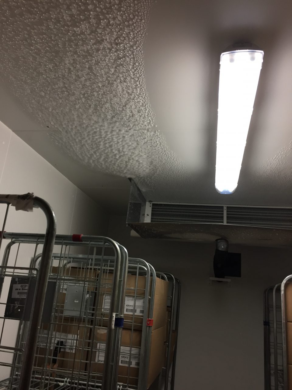 V mraziarenskom boxe prevádzky námraza na strope.