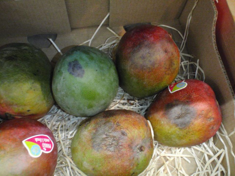 Predaj potravín nevhodných na ľudskú spotrebu.