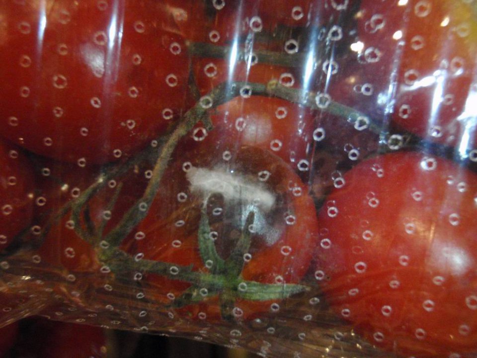 Predaj potravín nevhodných na ľudskú spotrebu.