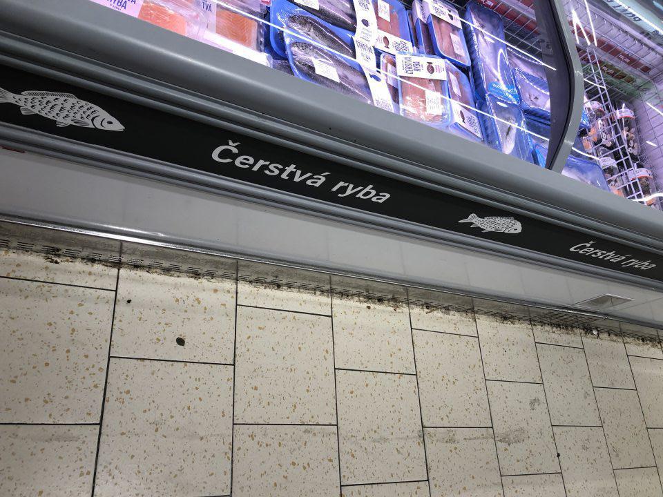 Nános nečistôt na podlahe pozdĺž chladiacich vaní s rybami.