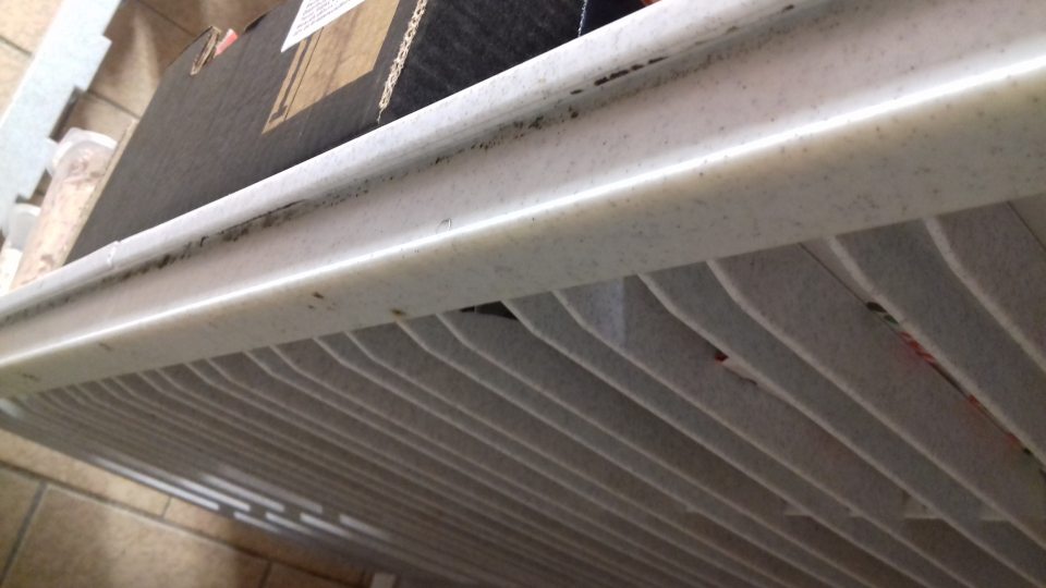 Regály v chladiacom boxe znečistené plesňou