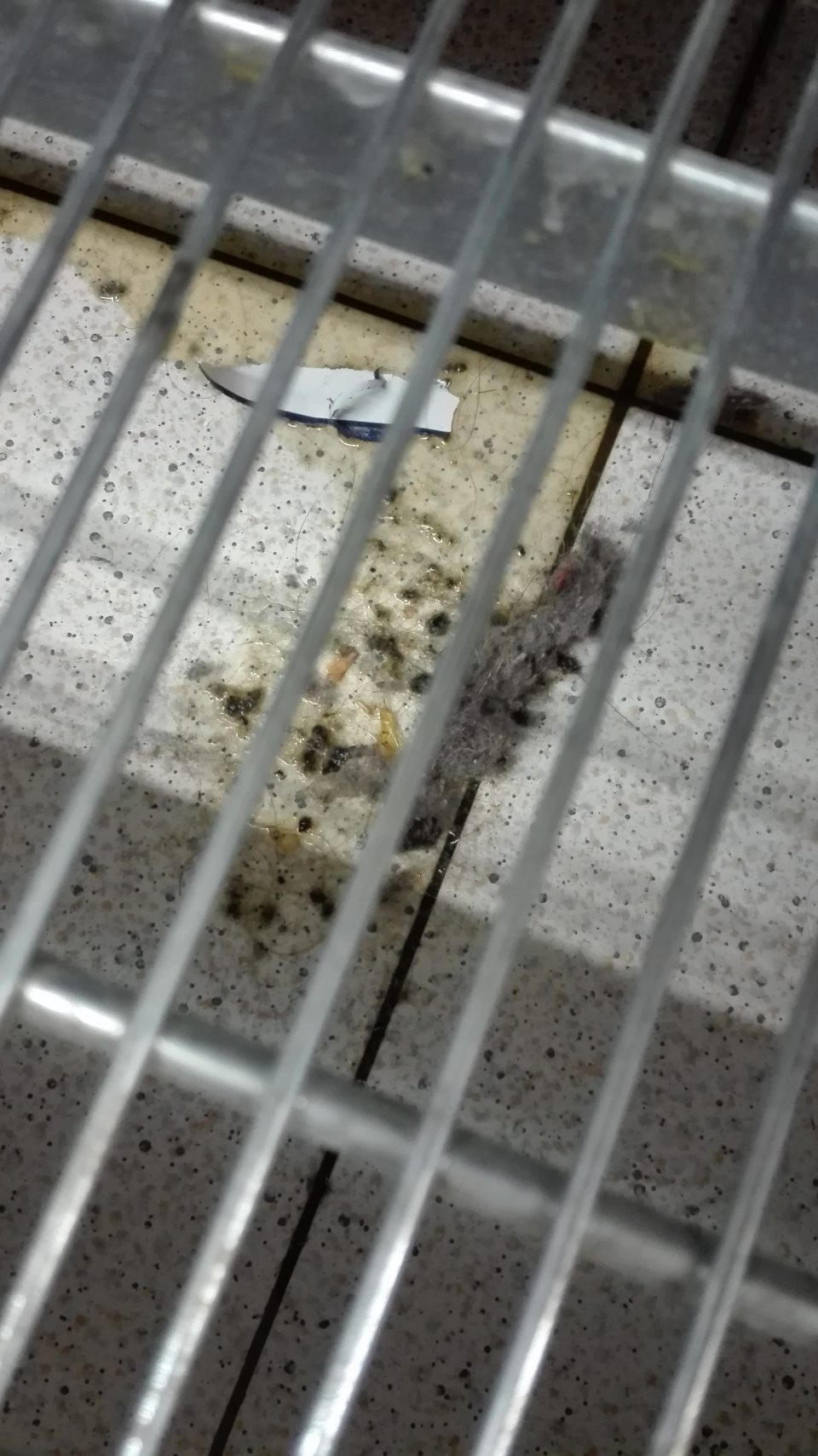 Znečistená podlaha pod regálom na predajnej ploche.