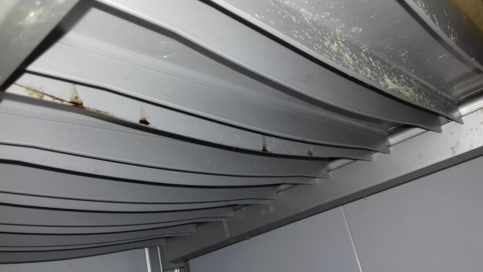 Pleseň v chladiacom boxe