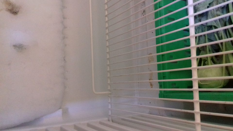 Hrubá námraza v chladiacom boxe
