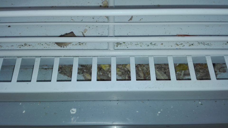 Znečistená spodná polica a priestor pod mriežkou mraziacej vitríny s ponukou mrazených krémov.