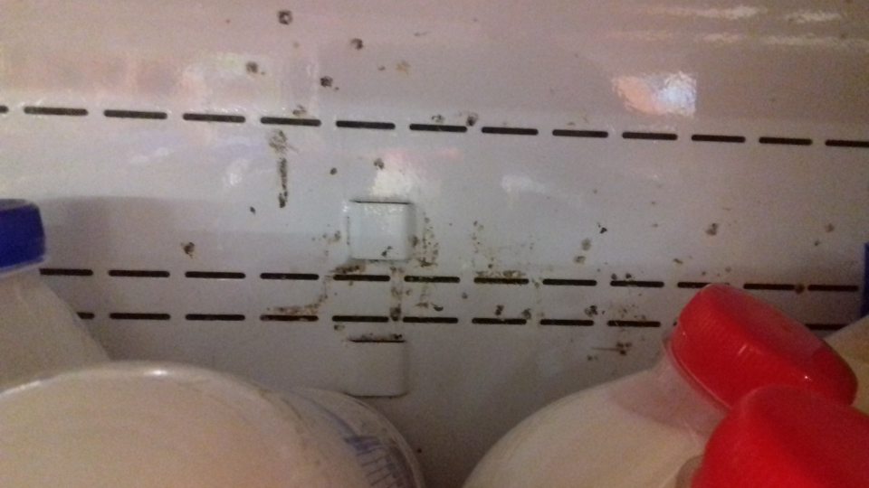 Chladiace vitríny znečistené plesňou