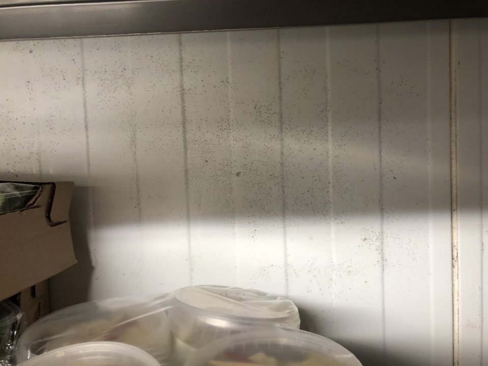 Znečistené steny v chladenom sklade ovocia a zeleniny.