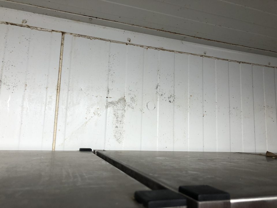 Znečistená stena a strop s výskytom plesne v chladenom sklade lahôdok.