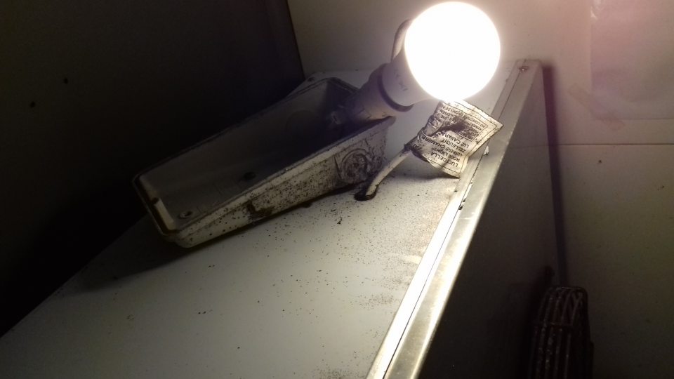 Pleseň v chladiacom boxe na zeleninu a ovocie