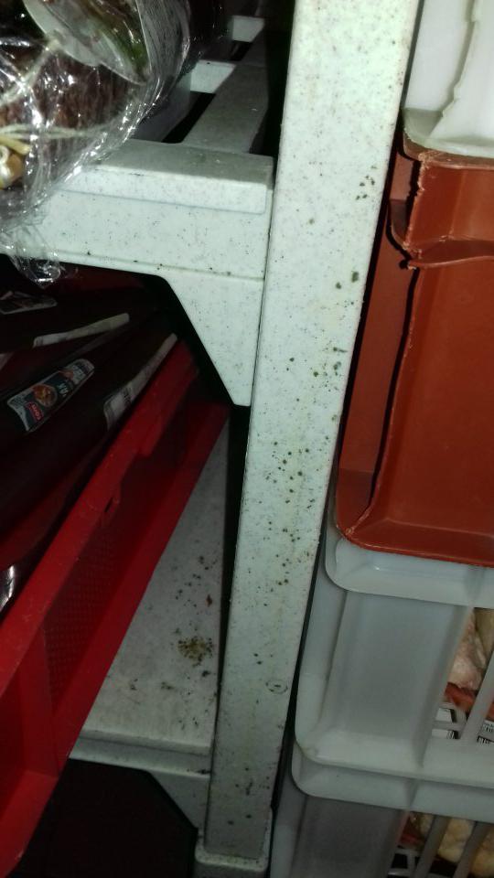 Pleseň v chladiacom boxe v zázemí prevádzky
