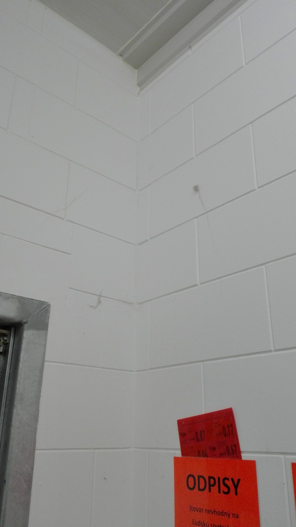 Výskyt pavučín na stenách v sklade čerstvého pečiva.