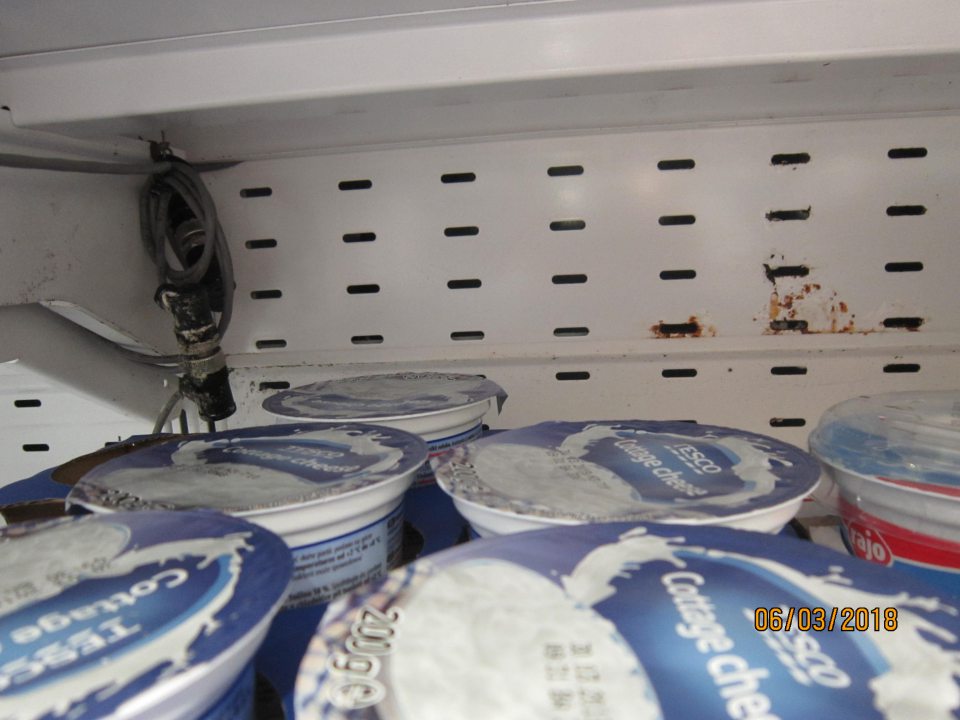 Chladiace vitríny znečistené plesňou