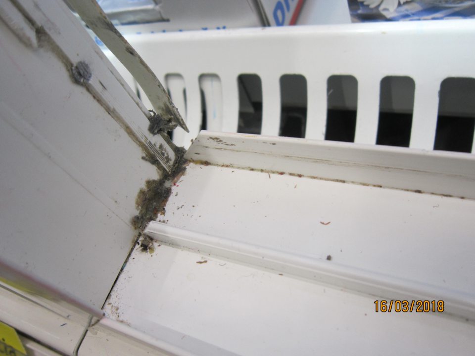 Pleseň v chladiacej vitríne