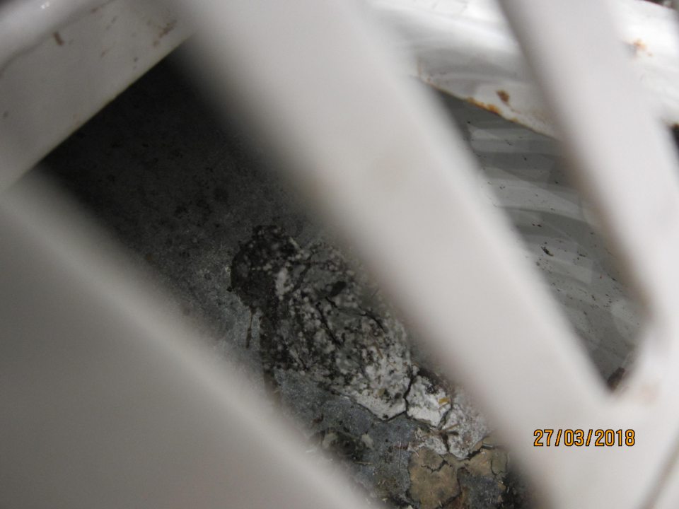 Chladiace vitríny znečistené plesňou