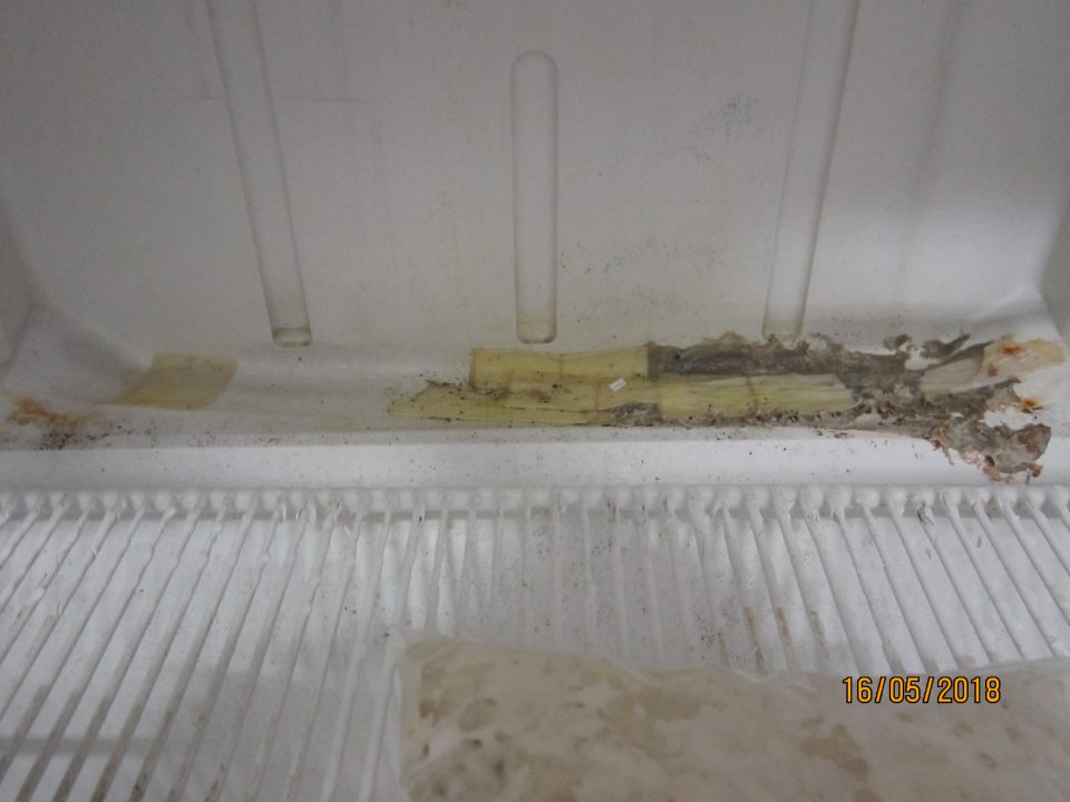 Chladnička v zázemí na skladovanie lahôdkárskych výrobkov silne znečistená