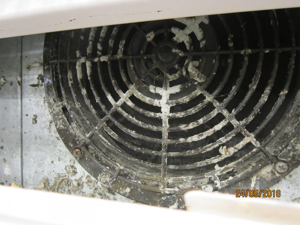 Pleseň v chladiacich vitrínach