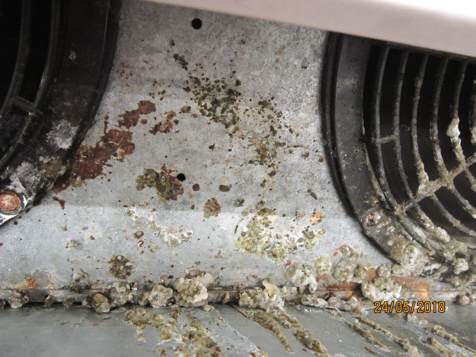 Pleseň v chladiacich vitrínach