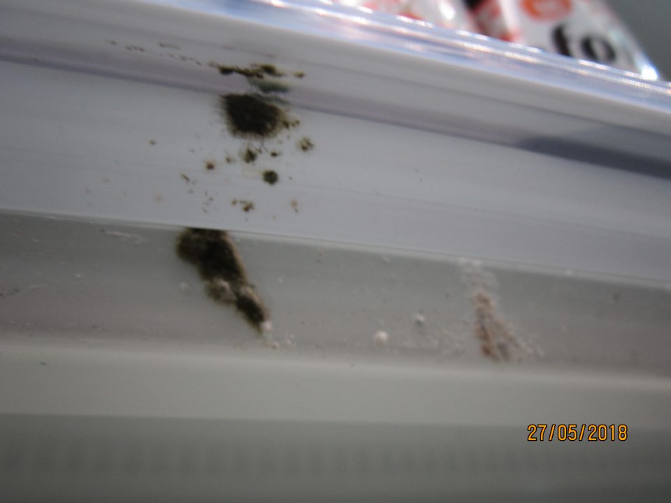 Plesňou znečistené chladiace vitríny