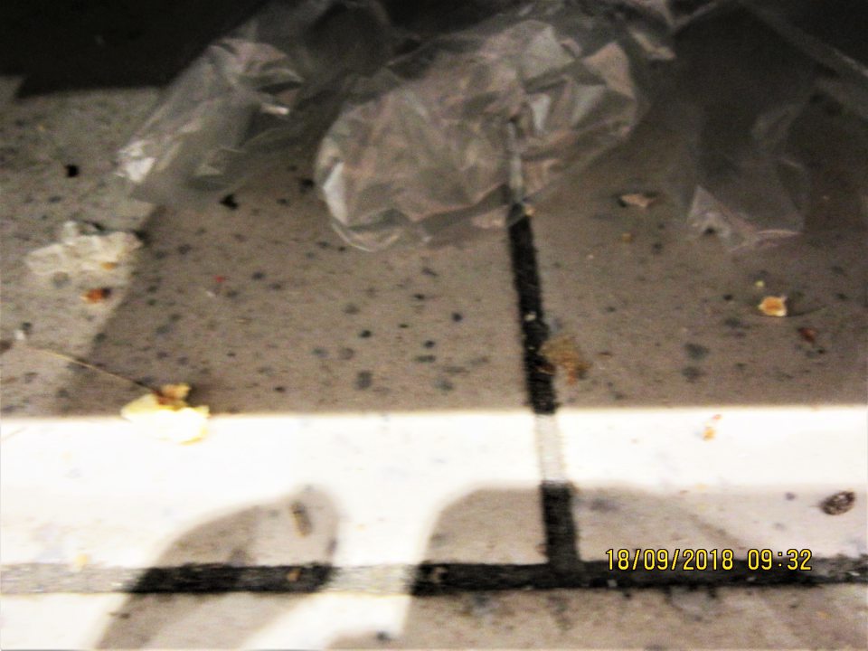  Nadmerne znečistená podlaha pod regálmi na špeciálne výrobky z obilia a sucháre od prachu, omrviniek z výrobkov, igelitov 