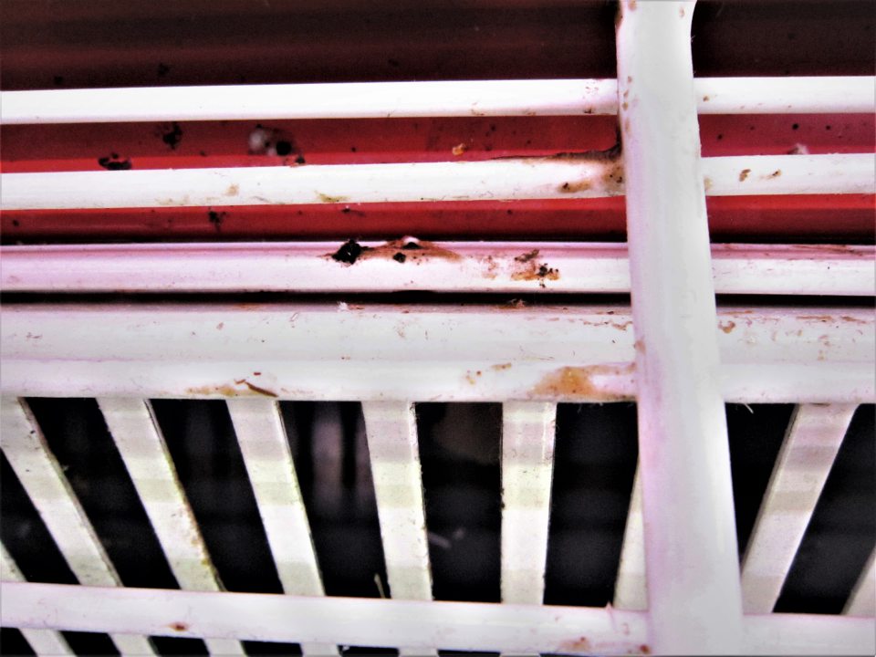 Znečistená chladiarenská vitrína na mäsové výrobky a mäso od zaschnutých vytečených štiav z mäsa