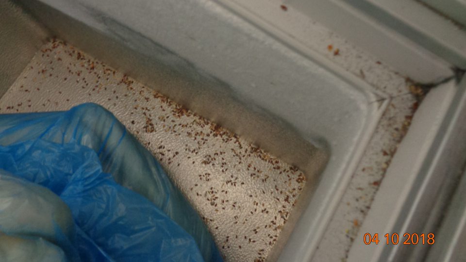 Znečistený mraziaci box na mrazené dopeky zvyškami potravín.