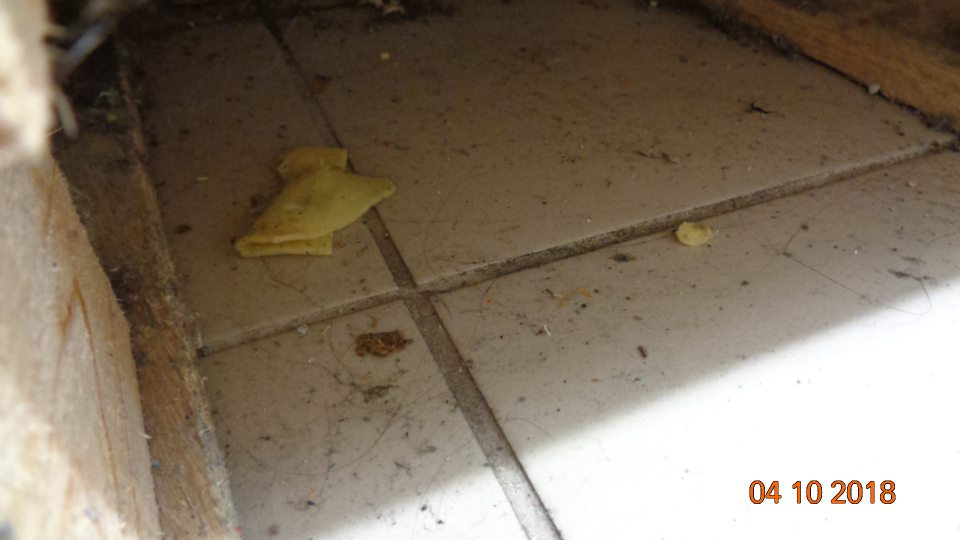  Podlaha pod regálom v sklade znečistená čiernou špinou a zvyškami potravín.