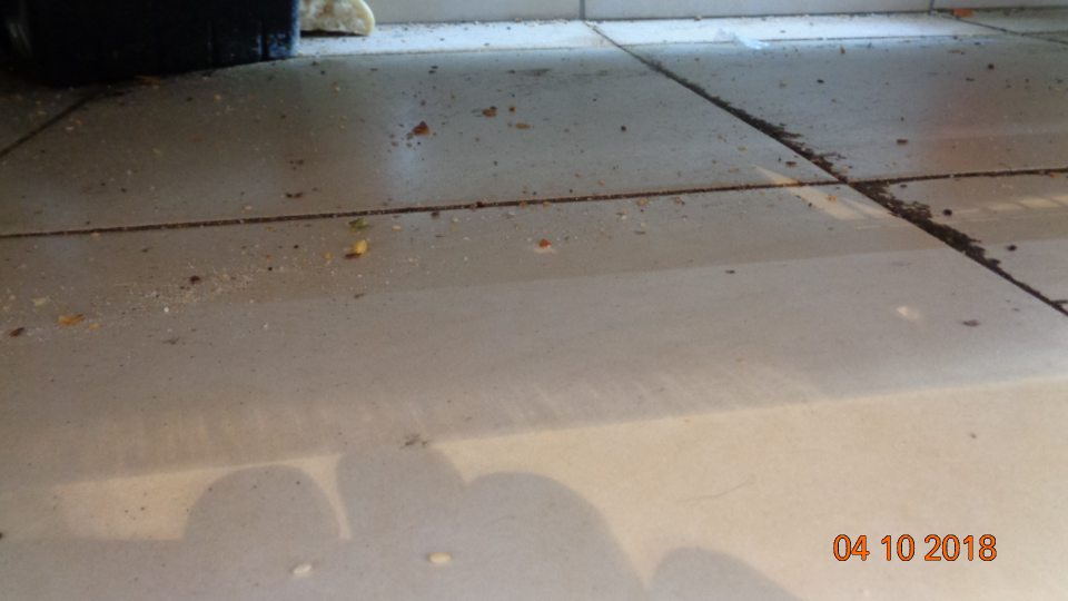 Podlaha pod regálom s pečivom znečistená omrvinkami a zvyškami potravín.