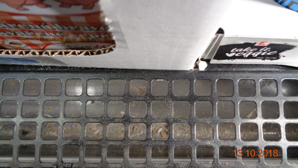 Chladiaca vitrína jogurtov a ramy pod mriežkami znečistené zbytkami potravín, nánosom vrstvy prachu a uhynutými muchami. 