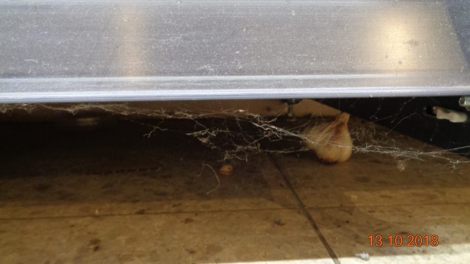 Pod regálom n predajnej ploche zbytky potravín, nános prachu, pavučiny.