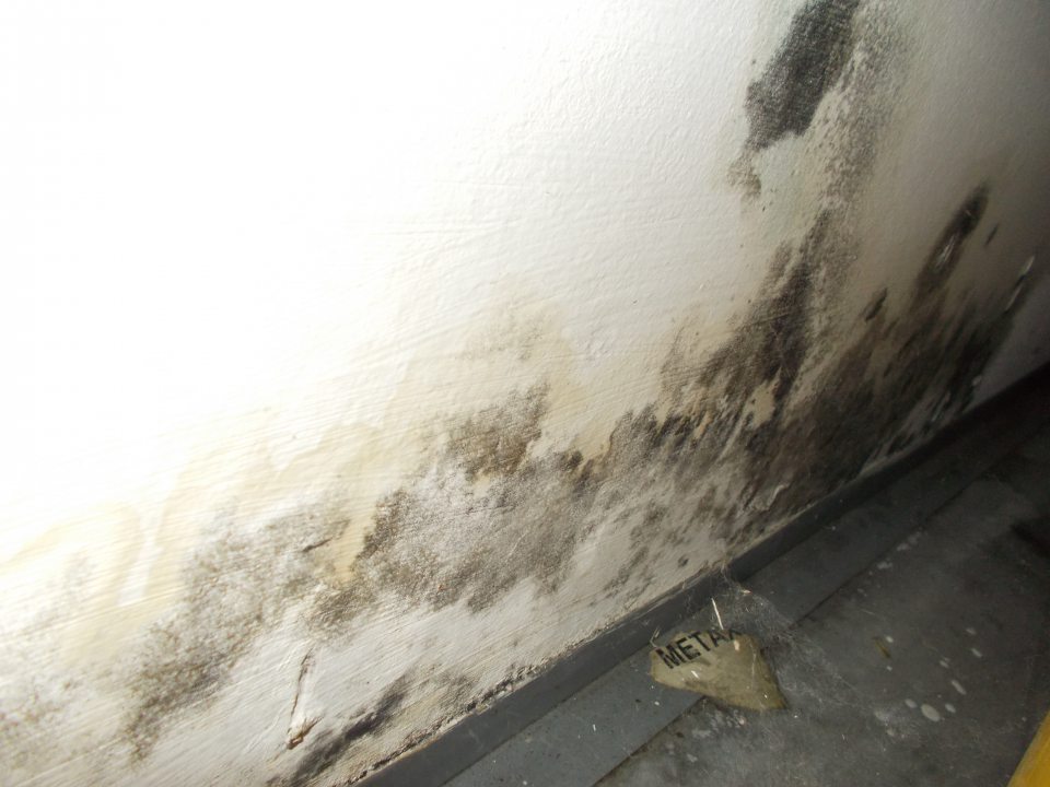 V skladovom priestore na skladovanie suchého baleného tovaru sa na stene oproti vstupným dverám nachádzali v spodnej časti steny čierne špiny pravdepodobne plesneň v samostatných ložiskách pozdĺž dĺžky asi dvoch metrov. 