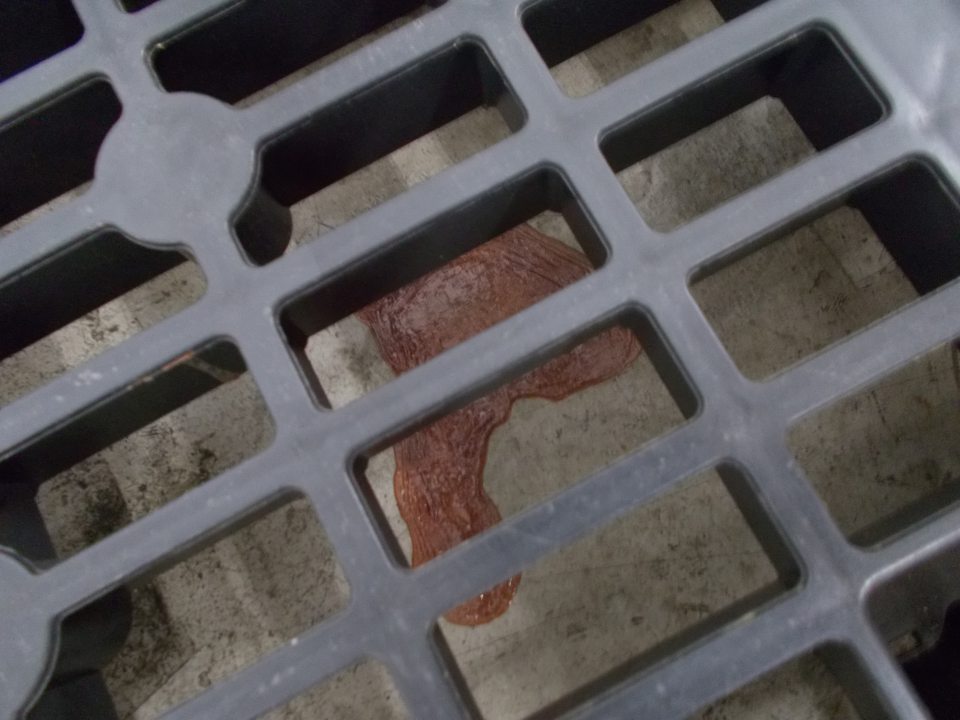 V skladovom priestore na chladené mäsové výrobky a čerstvé mäso natečená krv pod roštami.