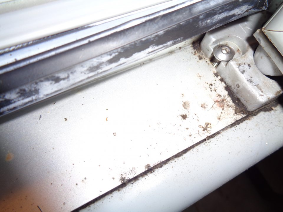 V prevádzke znečistená chladiaca vitrína s nealko nápojmi.