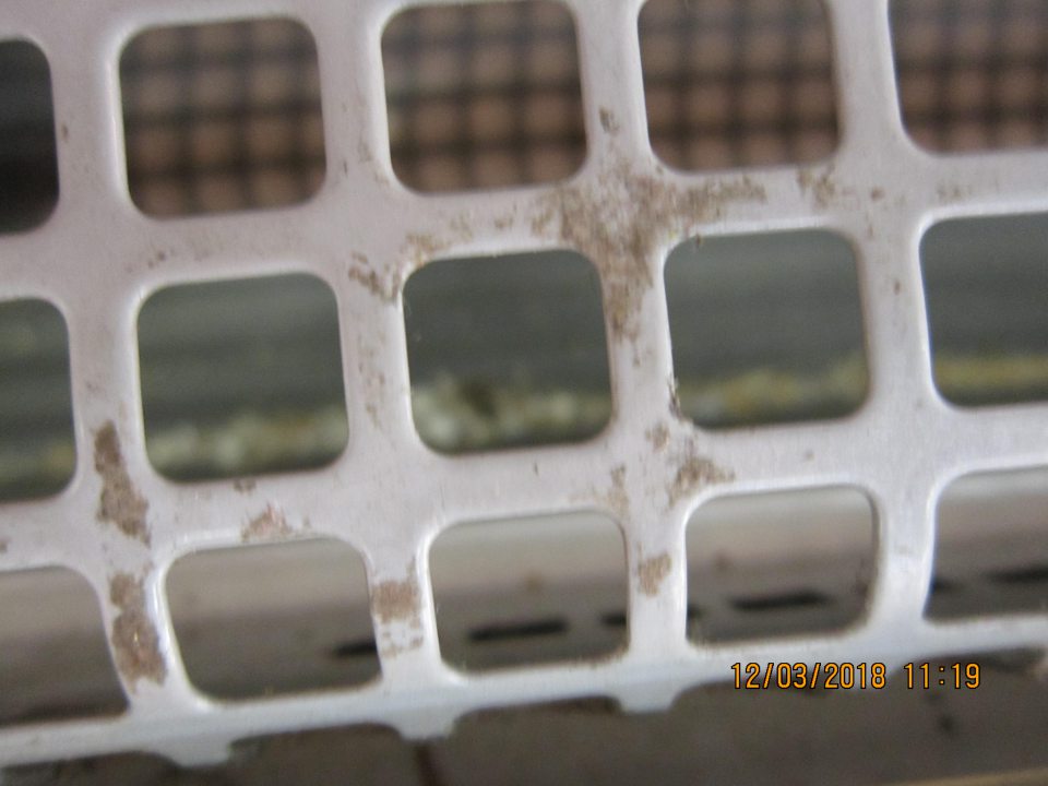 V chladiacej vitríne koláčov sa pod mriežkami nachádzajú zvyšky potravín aj papierikov.